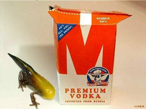premium_vodka.jpg