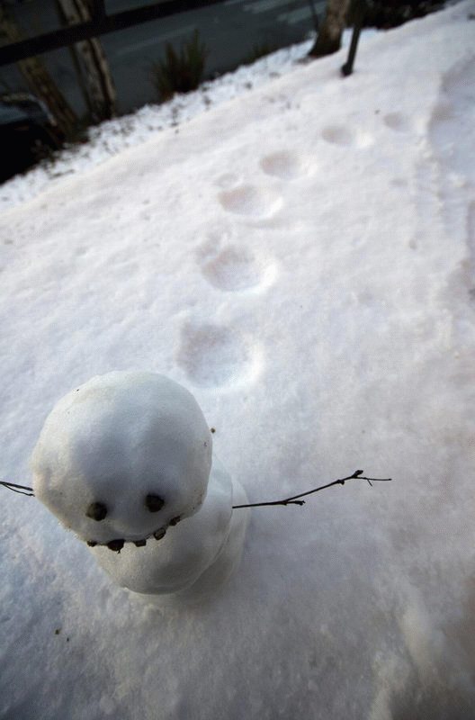 best_snowman_5.jpg