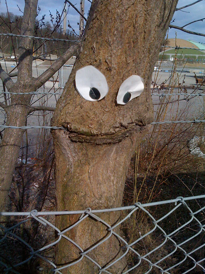 happy_tree_is_happy.jpg
