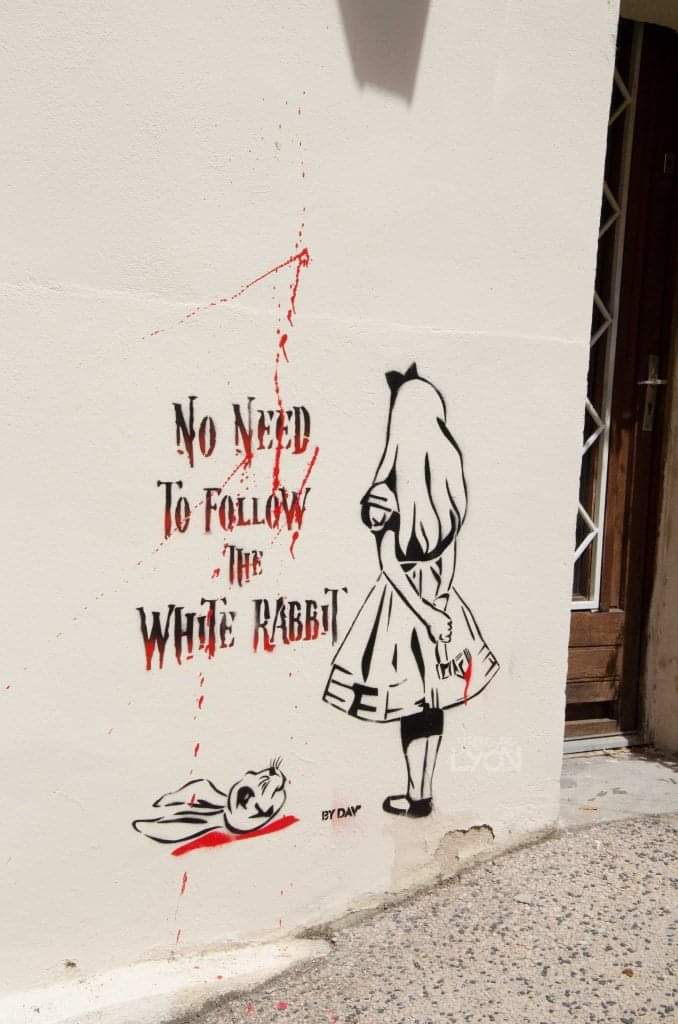 no_need_to_follow_the_white_rabbit.jpg