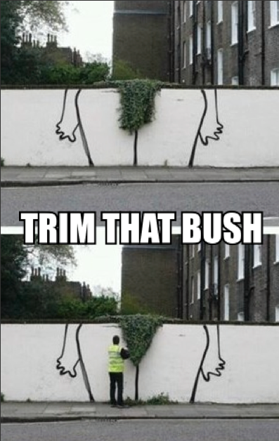 trim_that_bush.png