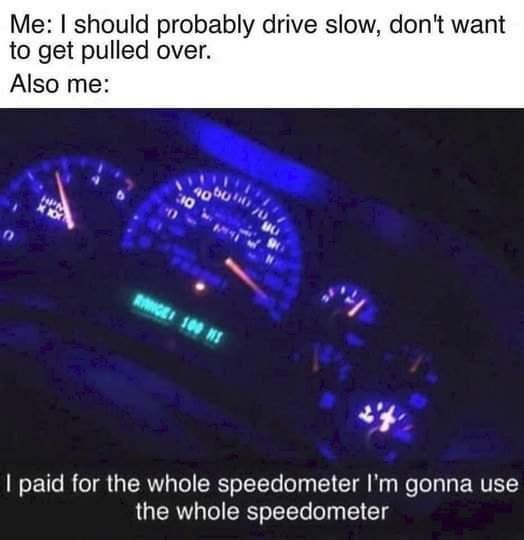 I_bought_the_whole_speedometer.jpg