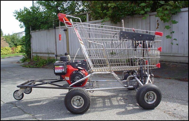 moto_shopping_cart.jpg