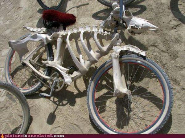 skull_bike.jpg