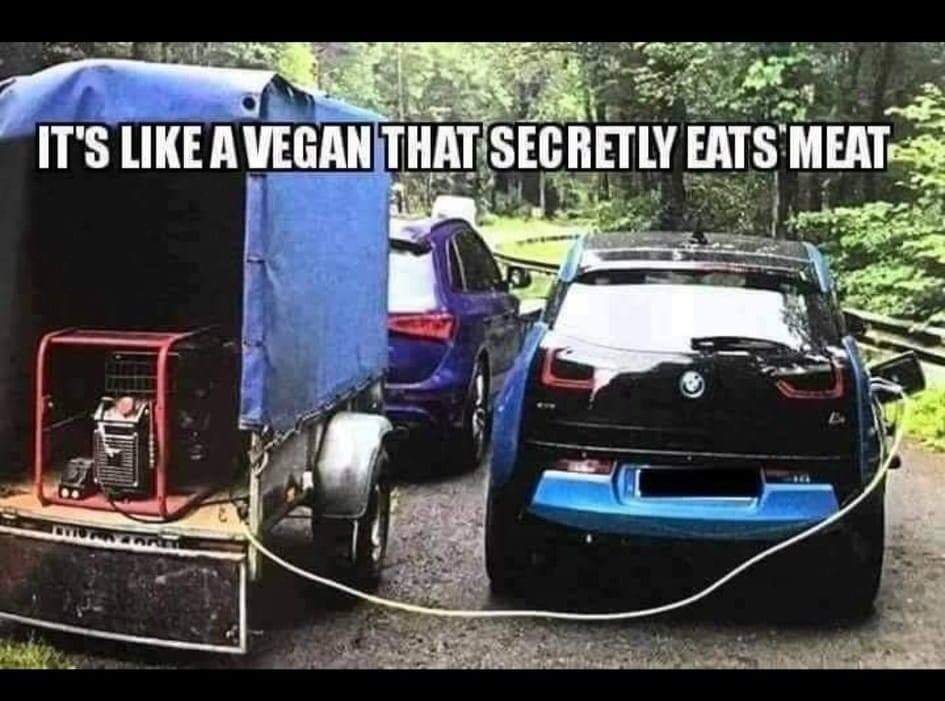 vegan_that_secretly_eats_meat.jpg