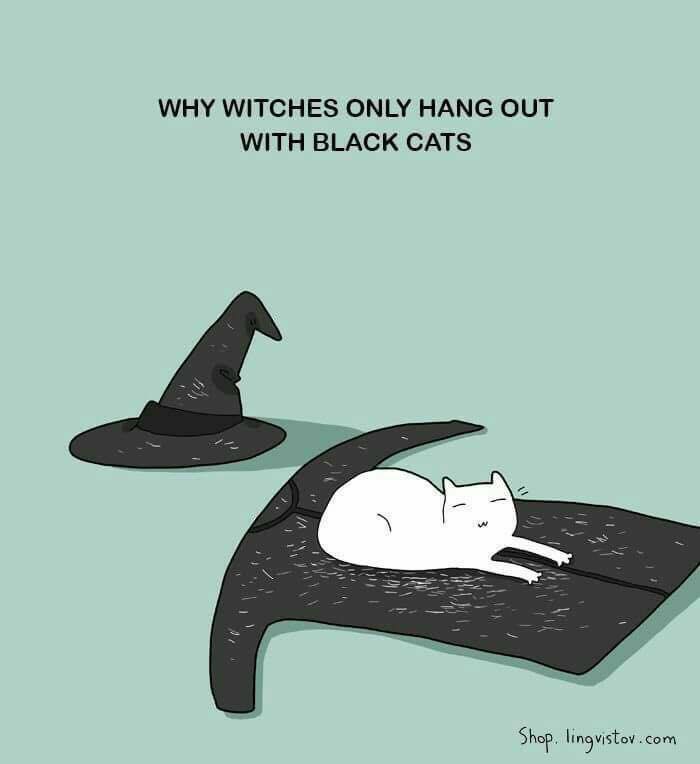 about_the_witches_and_the_black_cats.jpg