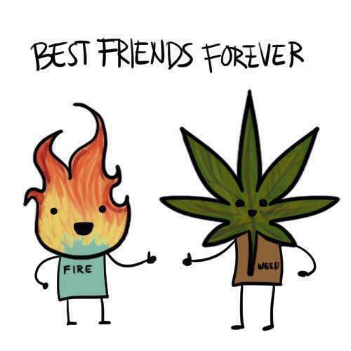 best_friends_forever.jpg