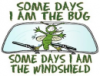 bug_windshield.png