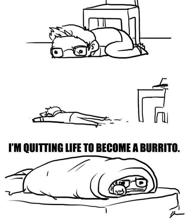 burrito.jpg