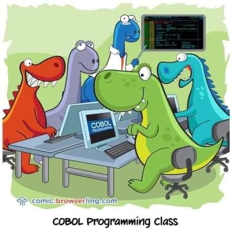 cobol_programming_class.jpg