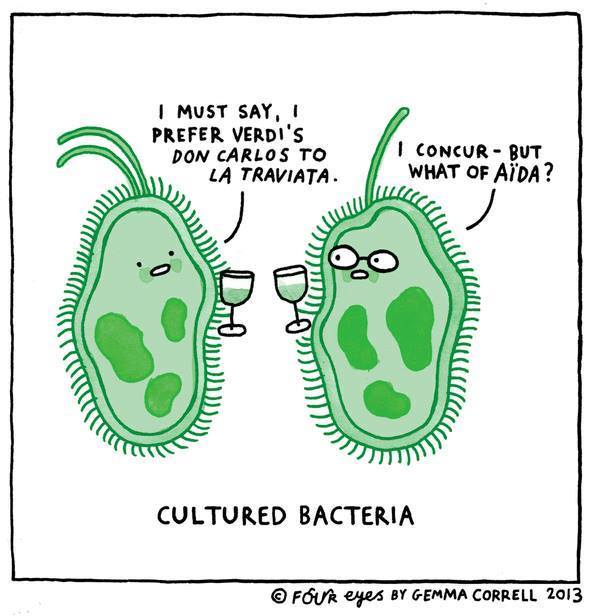 cultured_bacteria.jpg