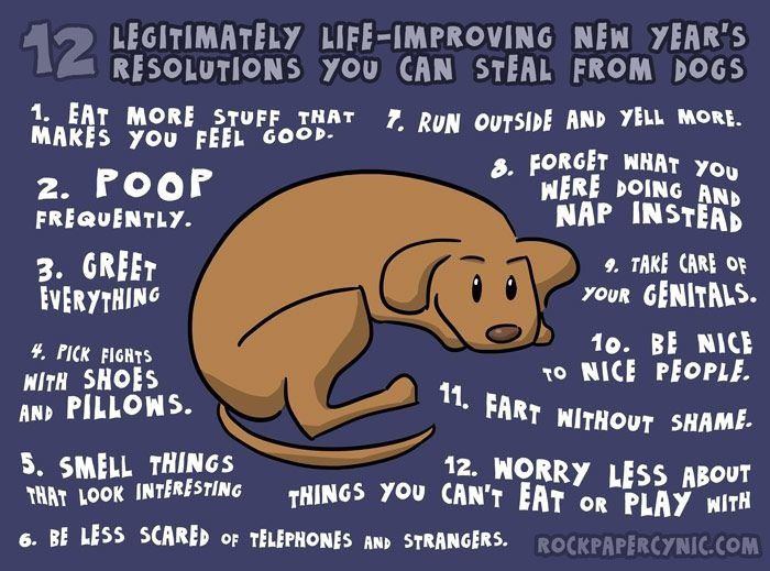 dogs_new_years_resolutions.jpg