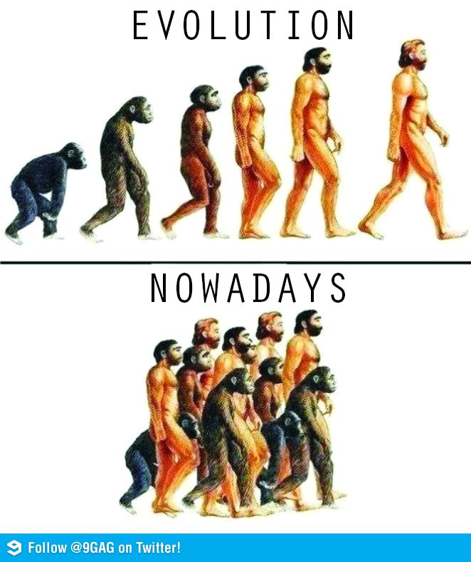 evolution_vs_nowadays.jpg