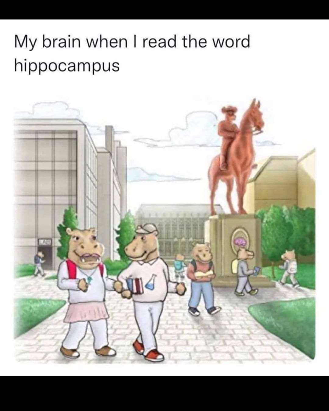 hippocampus.jpg