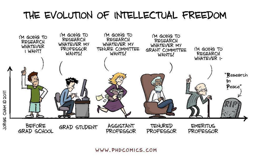 intelectual_freedom.jpg