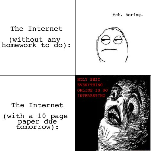 internet_and_homework.jpg