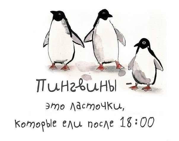 pingvinite_sa_lqstovichki.jpg