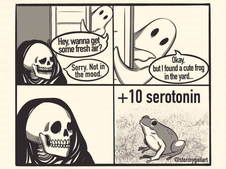 plus_10_serotonin.jpg