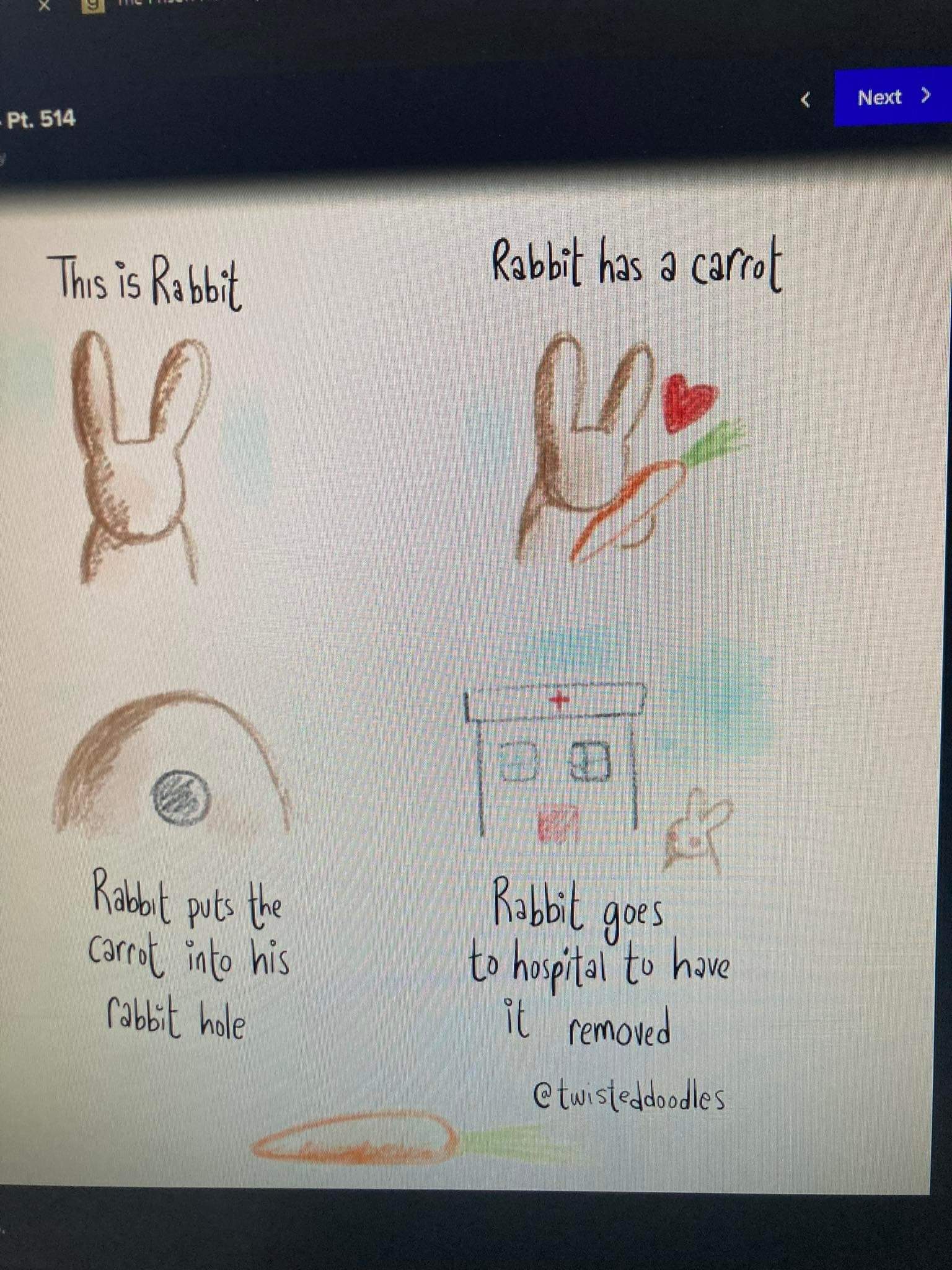 rabbit_has_a_carrot.jpg