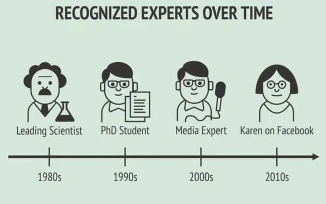 recognized_experts_over_time.jpg