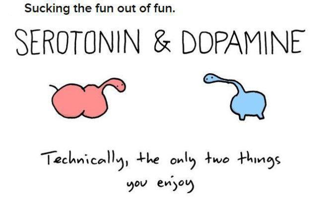 serotonin_and_dopamine_fun.jpg