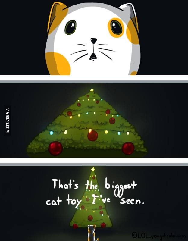 the_biggest_cat_toy.jpg