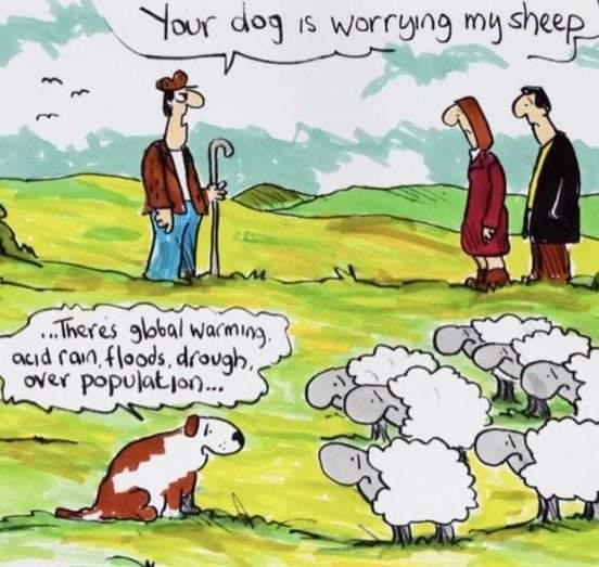 the_dog_is_worrying_the_sheep.jpg