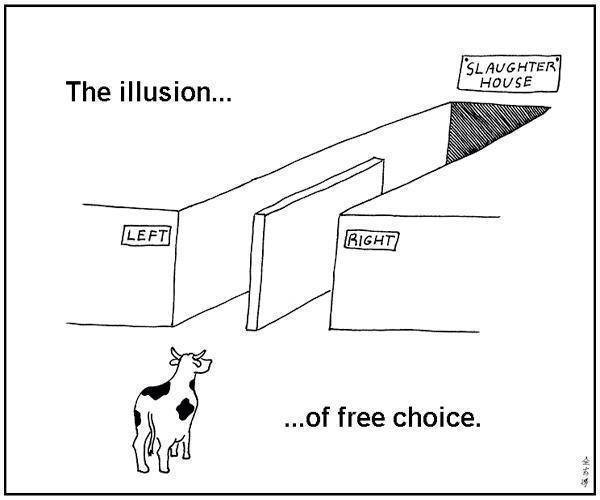 the_illusion_of_free_choice.jpg