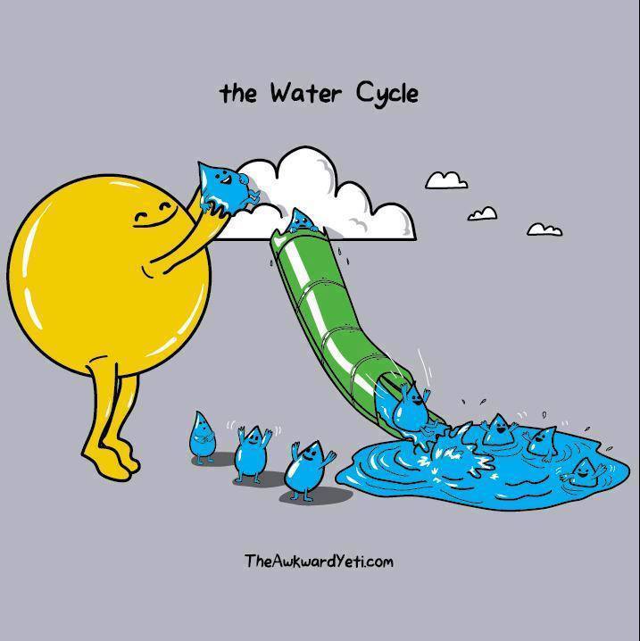 the_water_cycle.jpg