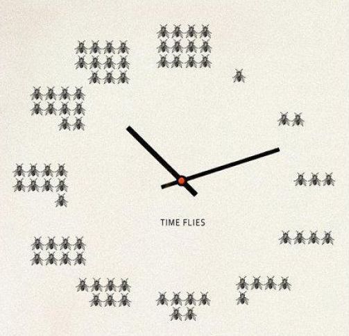 time_flies.jpg