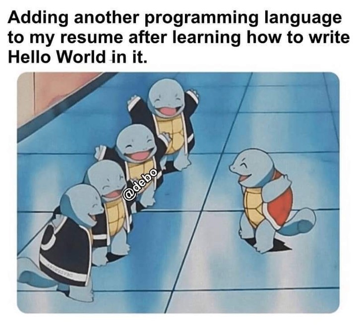 adding_program_languages.jpg