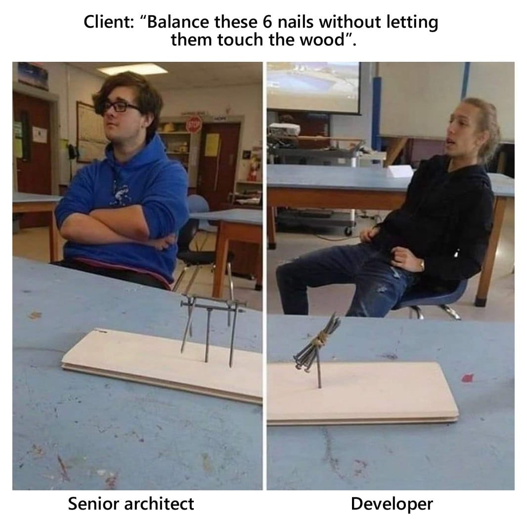architect_vs_programmer.jpg
