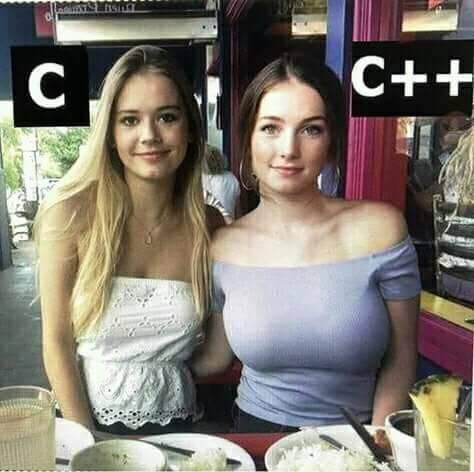 c_and_cpp_as_women.jpg