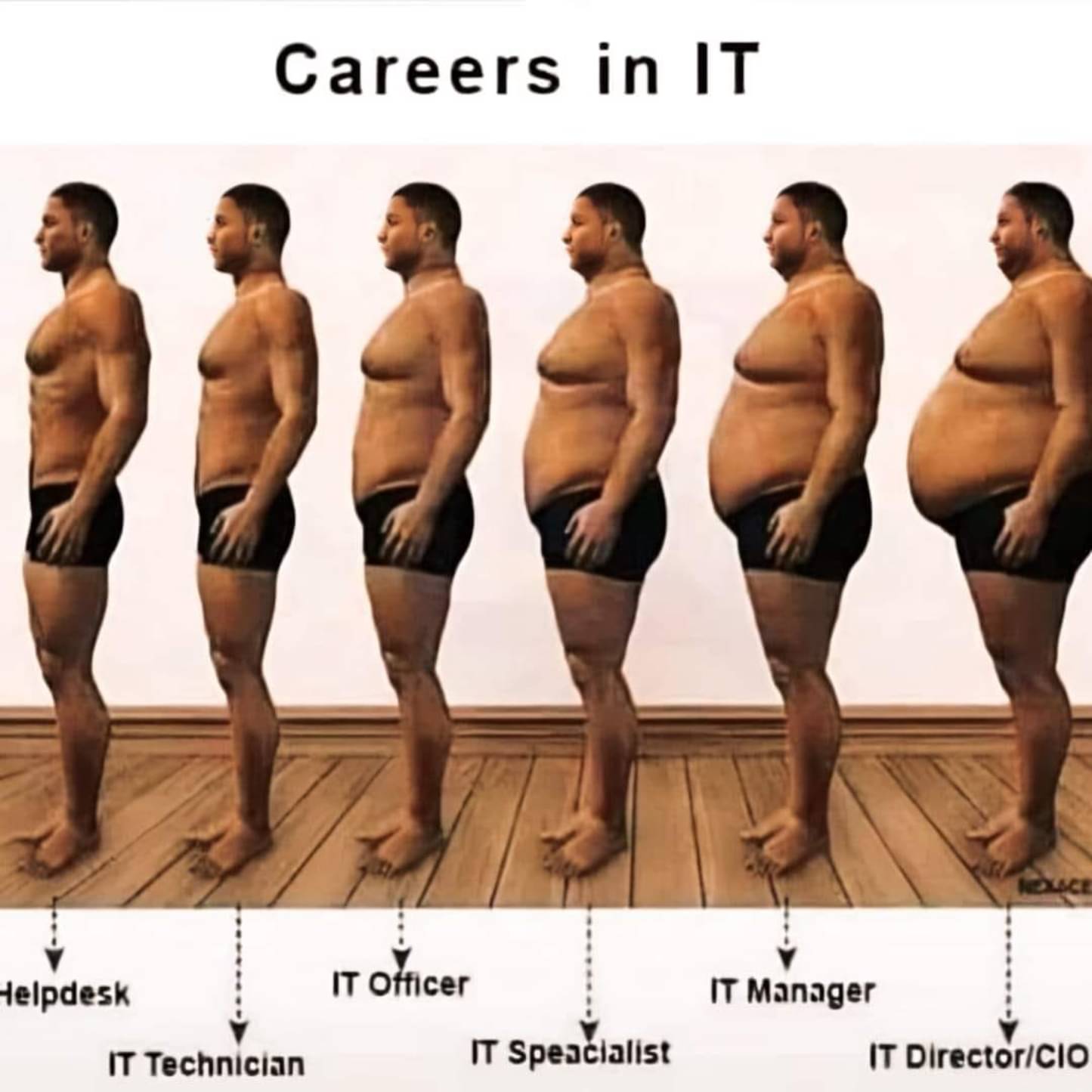 careers_in_IT.jpg