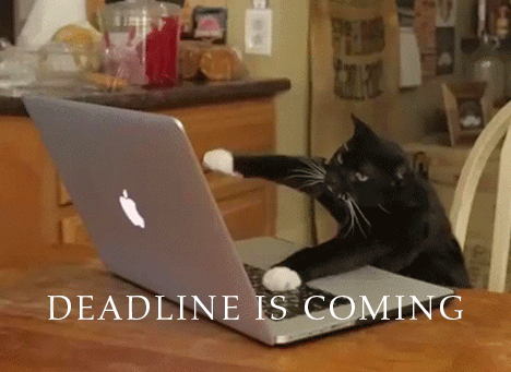 deadline_is_coming.gif