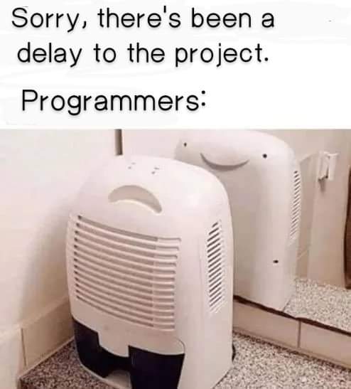 delay_to_the_project.jpg
