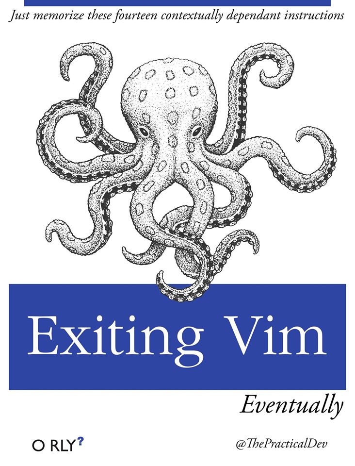 exiting_vim.jpg