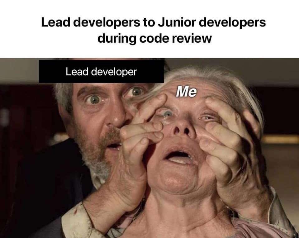 lead_developer_vs_junior_developers.jpg