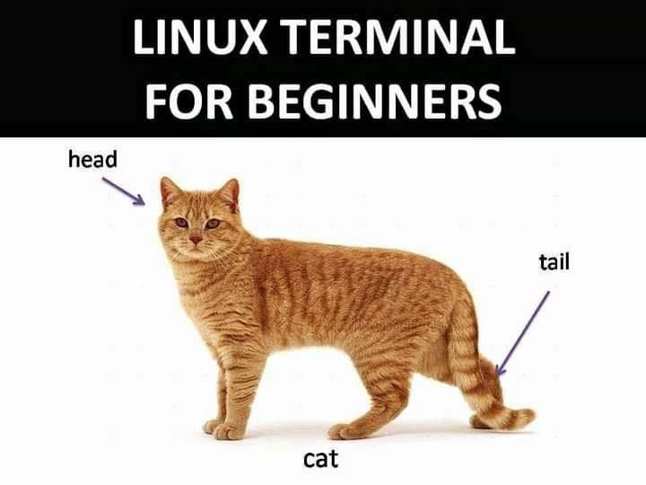 linux_terminal_commands_for_beginners.jpg