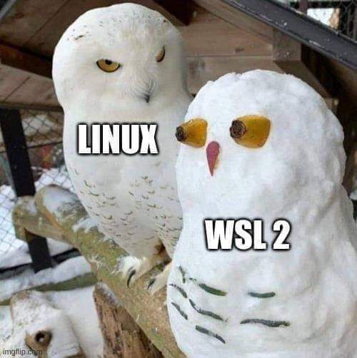 linux_vs_wsl2.jpg