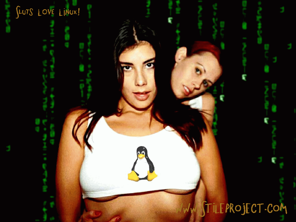 Linux206.gif
