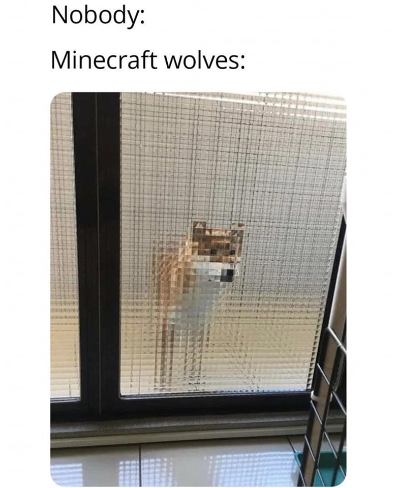 minecraft_wolves.jpg