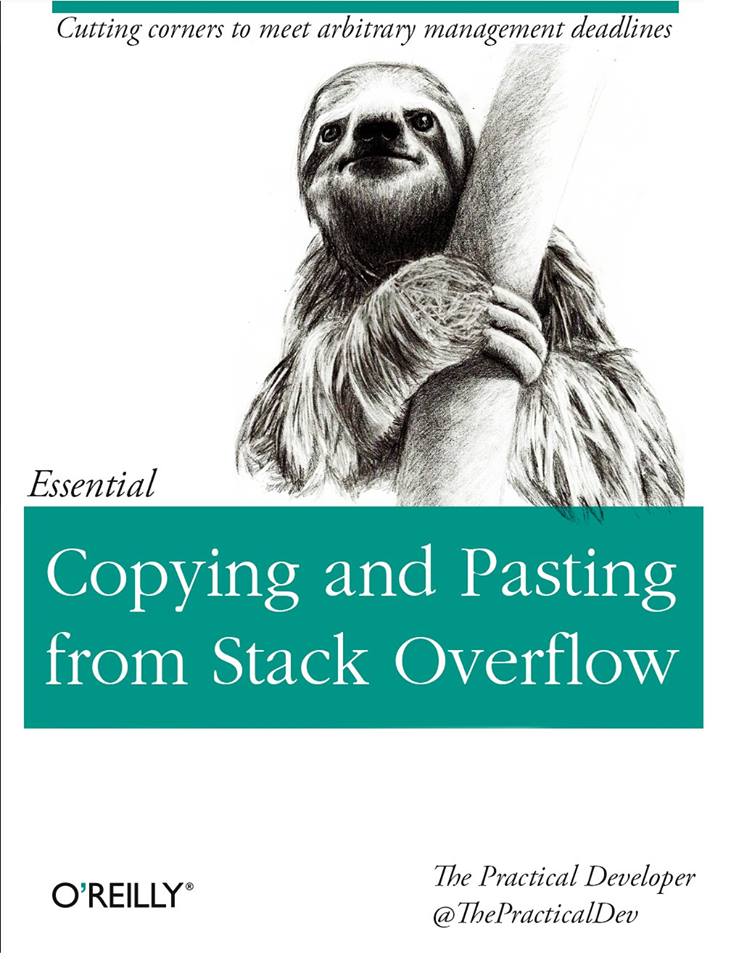 copying_and_pasting_from_stackoverflow.jpg