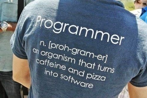 programmer_2.jpg