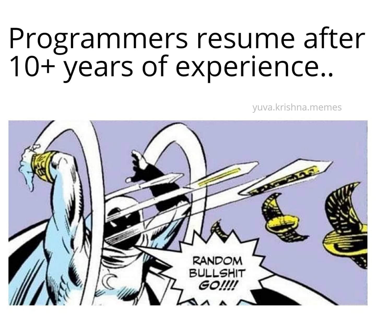 programmers_resume_after_10_years_experience.jpg