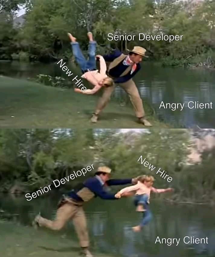 senior_developer_new_hire_angry_client.jpg