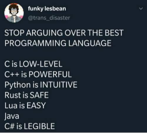 the_best_programming_language.jpg