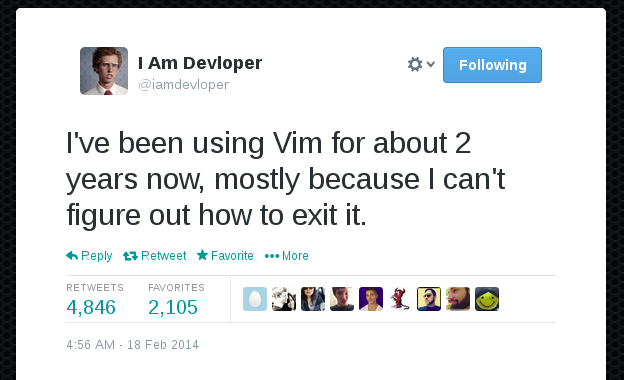 vim_the_truth.png
