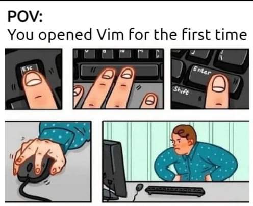 when_opened_vim_for_the_first_time.jpg