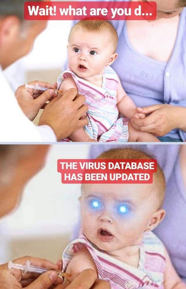 the_virus_database_has_been_updated.jpg